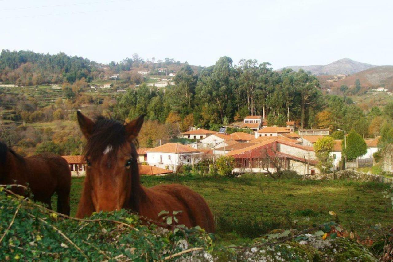 Casa de Sá - A Natureza no Gerês Terras de Bouro Exterior foto
