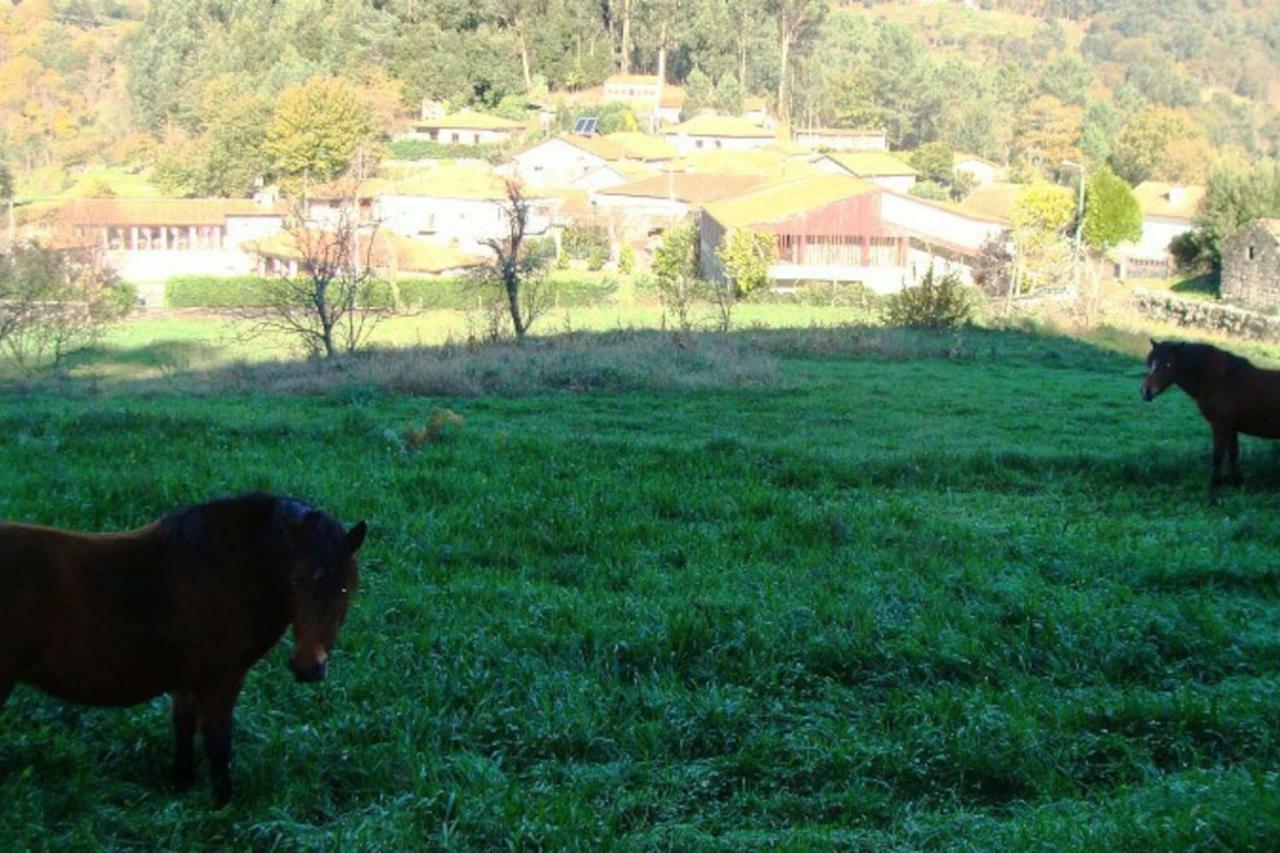 Casa de Sá - A Natureza no Gerês Terras de Bouro Exterior foto
